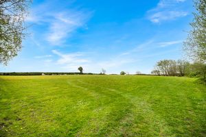 Photo 39- click for photo gallery